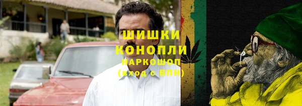 бошки Богданович