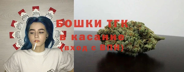 бошки Богданович