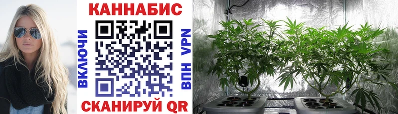 закладки  KRAKEN ТОР  Бошки Шишки Bruce Banner  Клин 